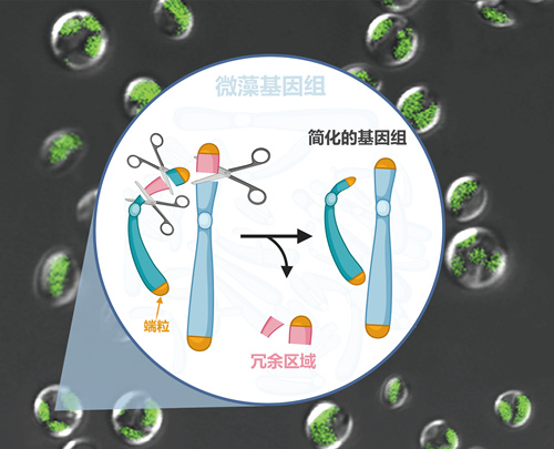 香港宝典正版资料