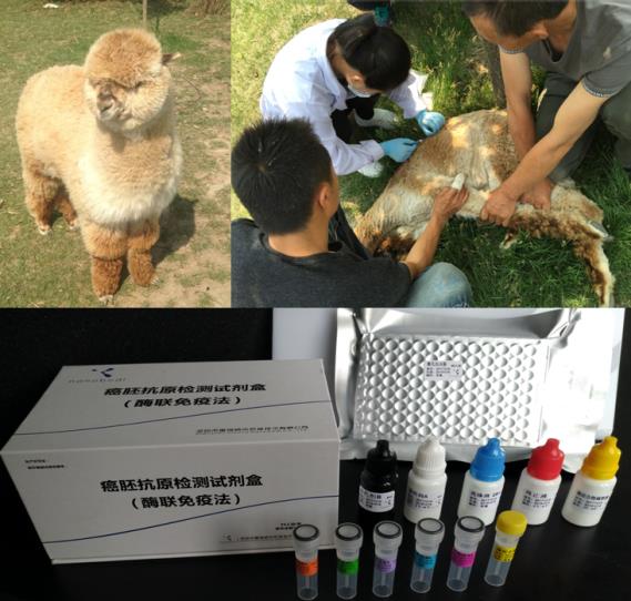 香港宝典正版资料