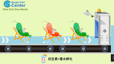 香港宝典正版资料