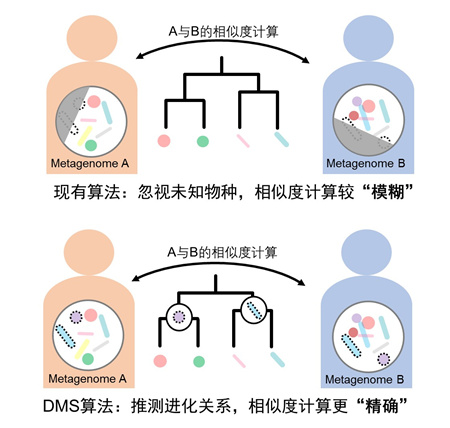 香港宝典正版资料