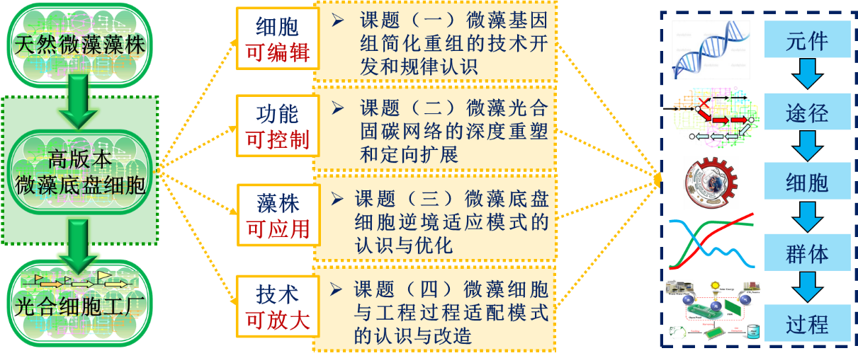 香港宝典正版资料