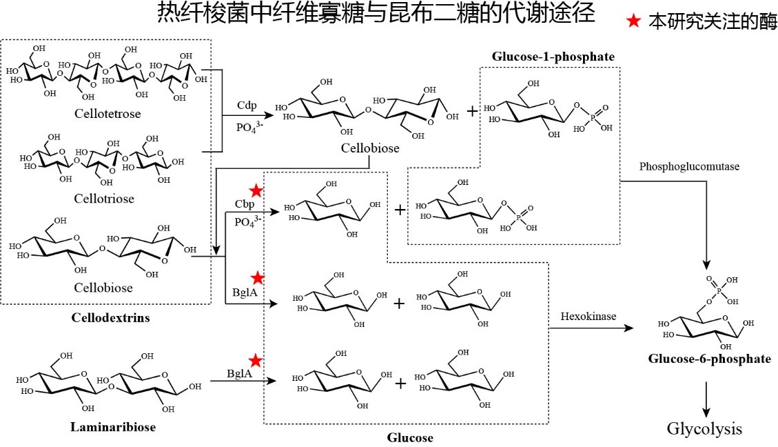 香港宝典正版资料