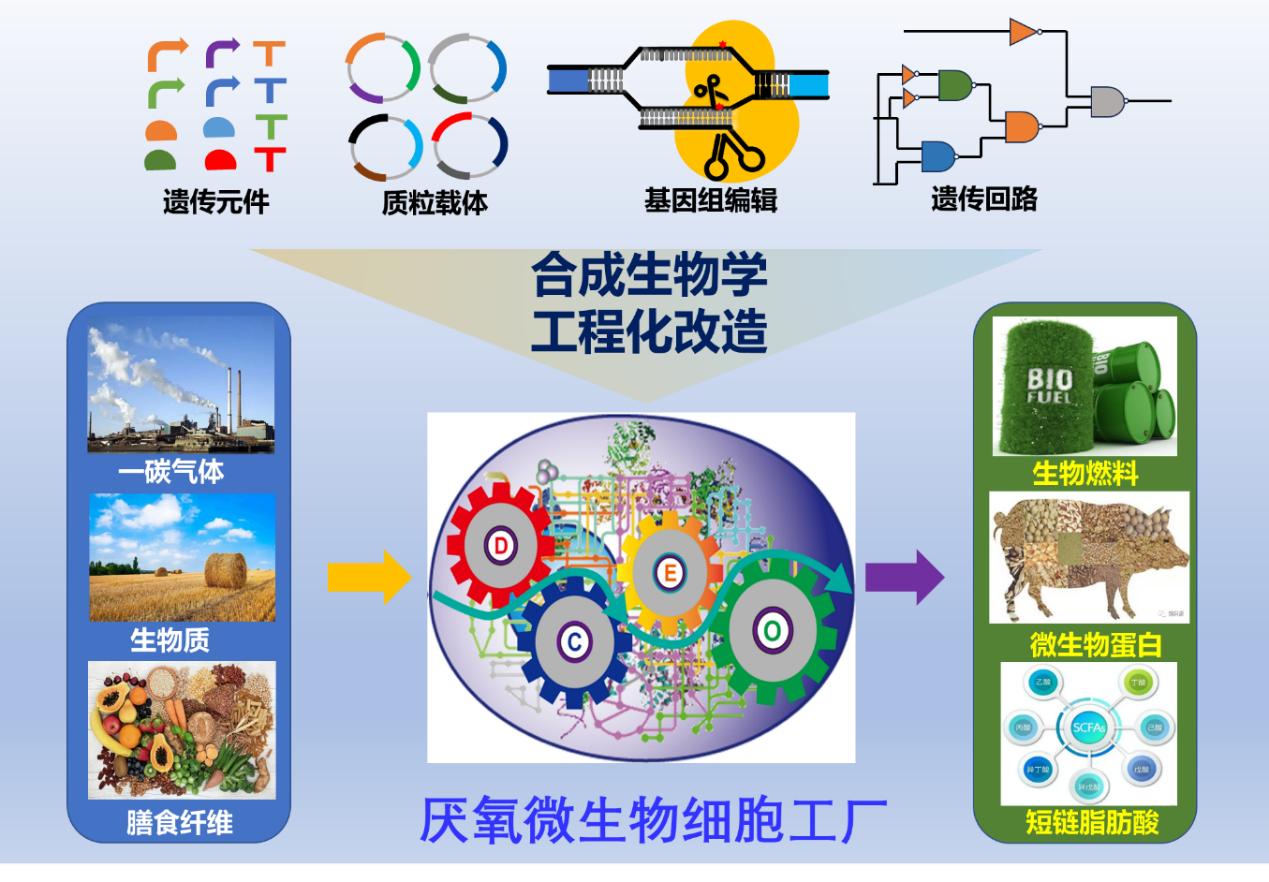 香港宝典正版资料