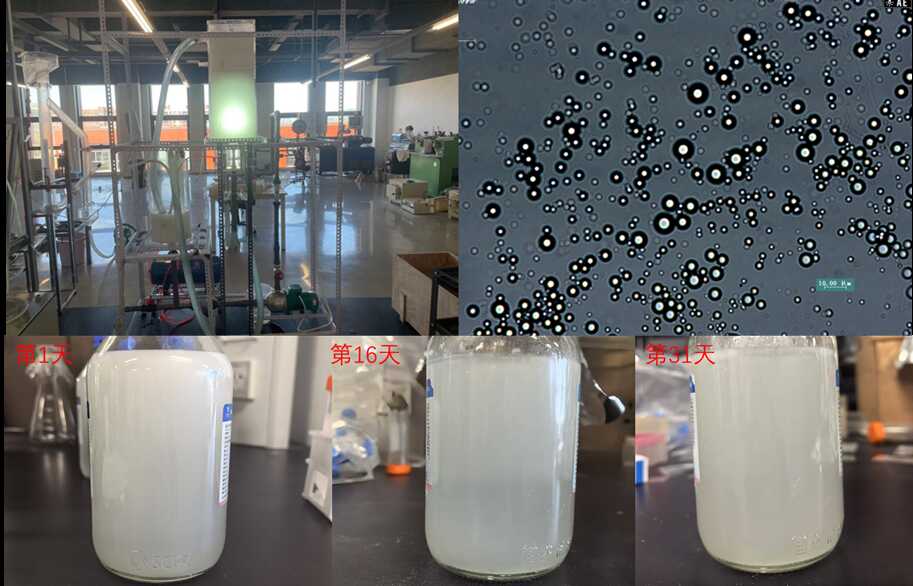 香港宝典正版资料