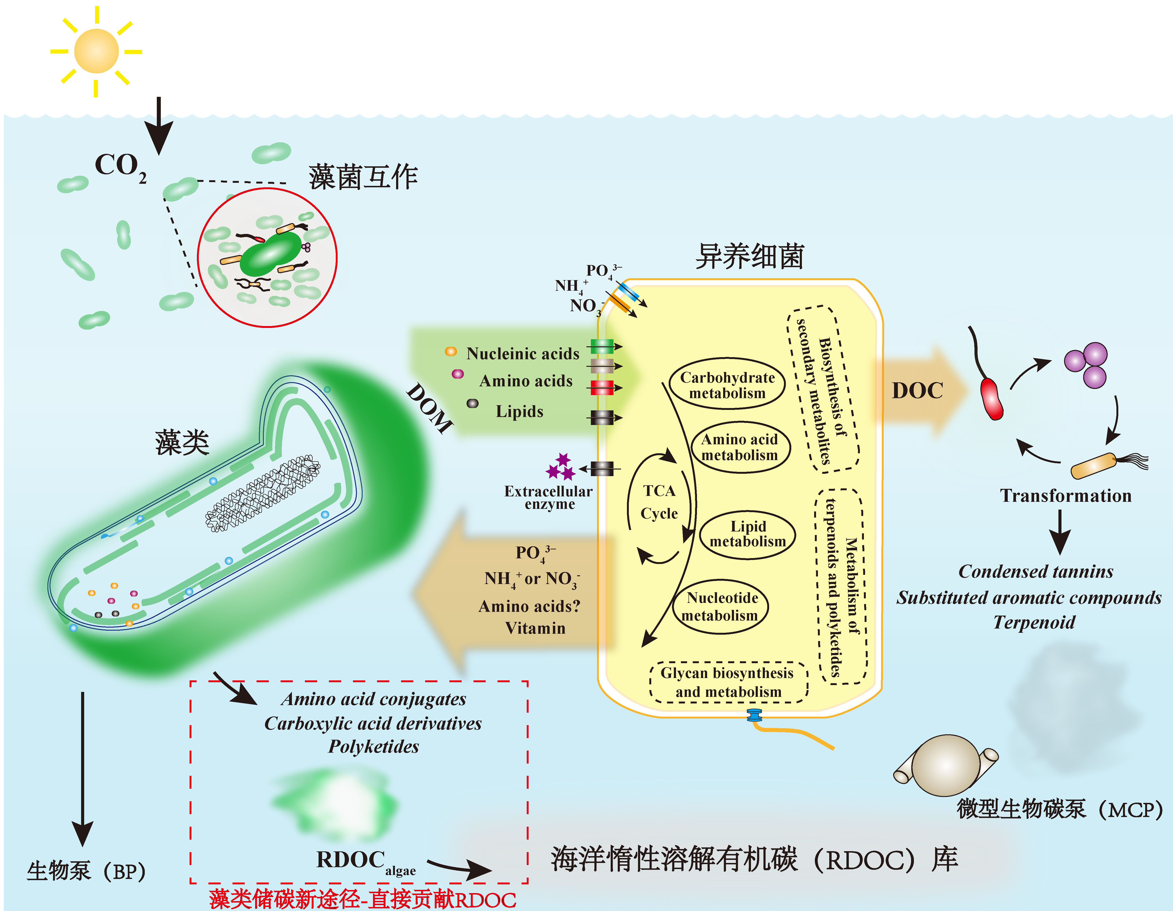 香港宝典正版资料