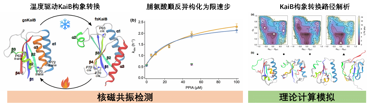香港宝典正版资料