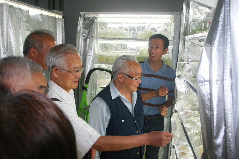 香港宝典正版资料