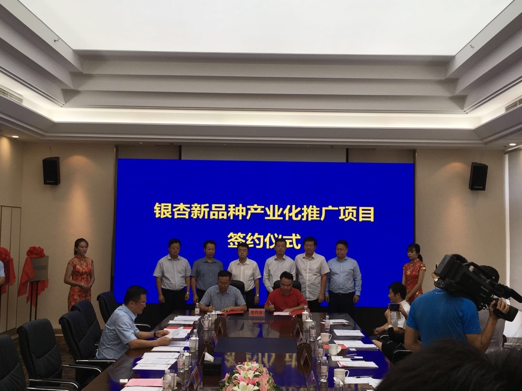 香港宝典正版资料