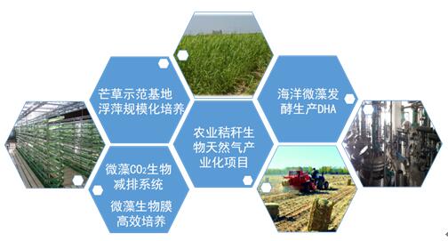 香港宝典正版资料