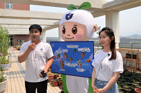 香港宝典正版资料
