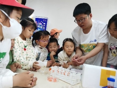 香港宝典正版资料