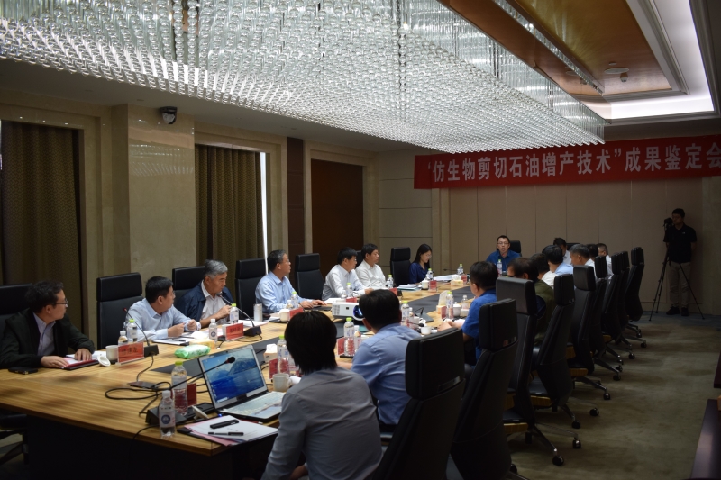 香港宝典正版资料