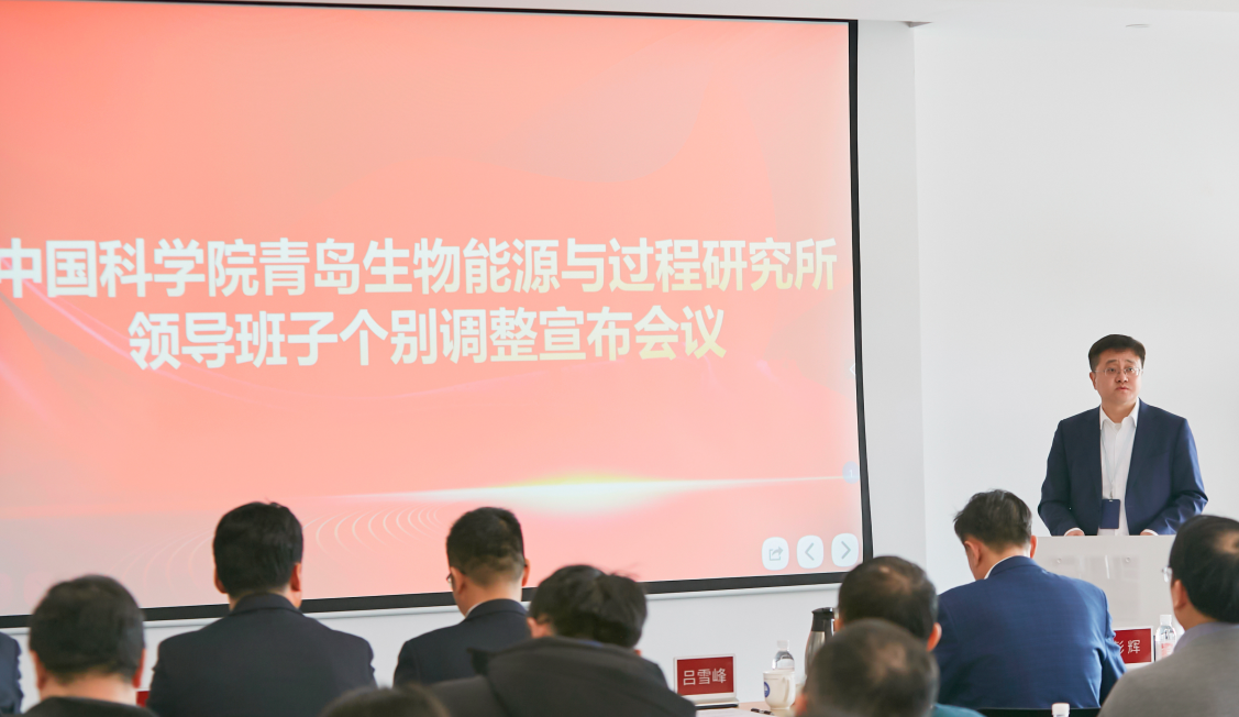 香港宝典正版资料
