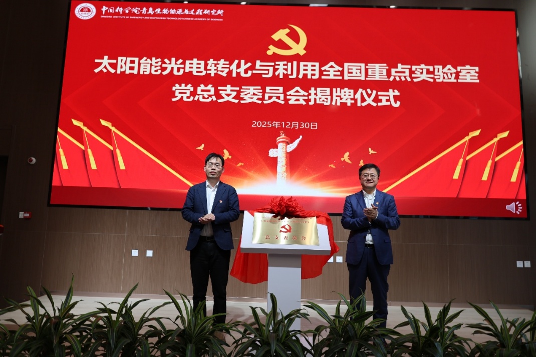 香港宝典正版资料
