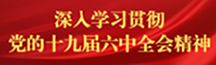 香港宝典正版资料