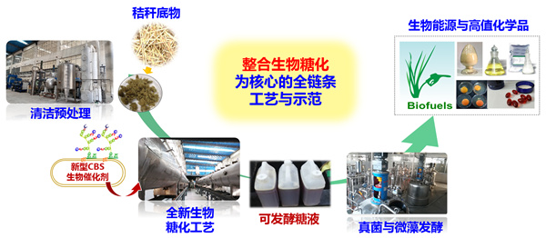 香港宝典正版资料