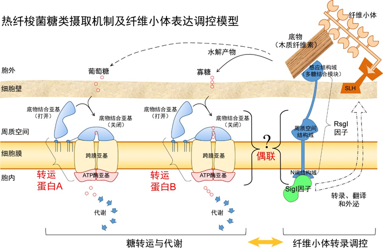 香港宝典正版资料