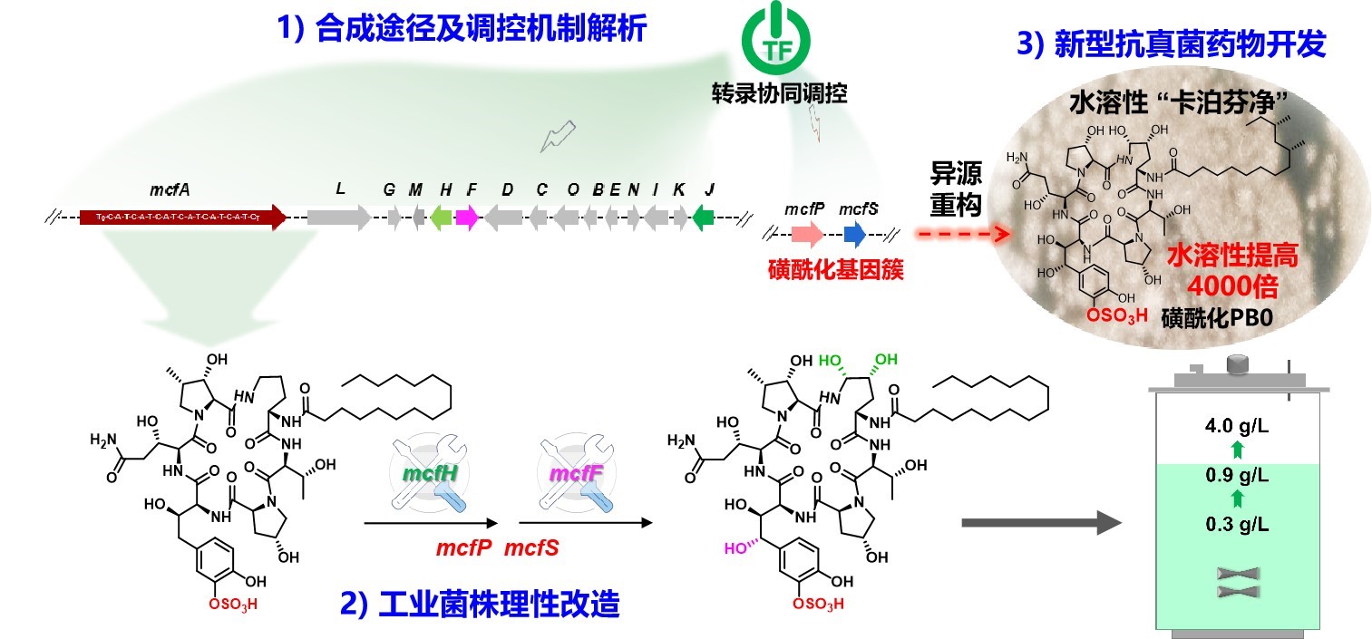 香港宝典正版资料